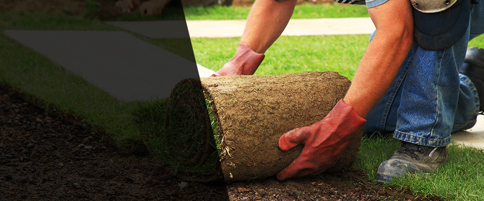 Glassport Landscapers